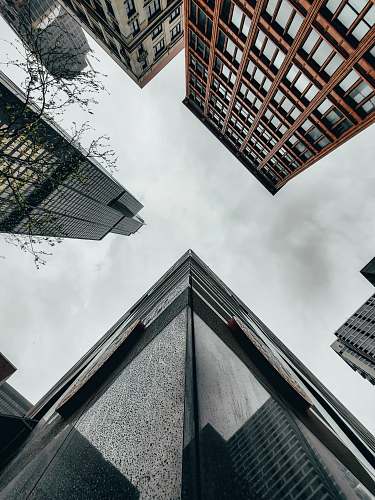 office building worm's eye view photo of buildings urban